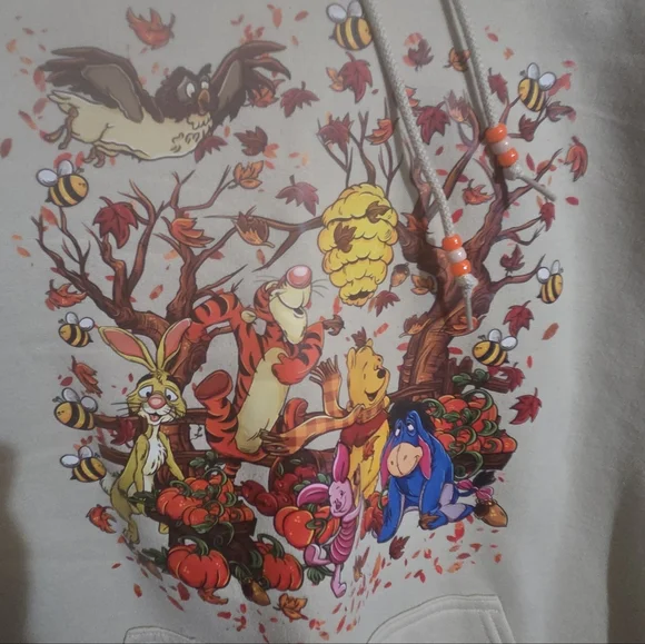 Winnie The Pooh Fall Hoodie - Picture 2 of 4
